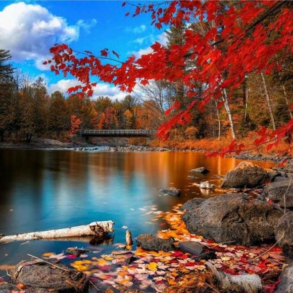 Meet your Posher, Benjamin - Picture 1 of 1